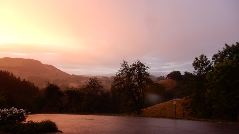 Surroundings, © Simone Wagner Surroundings, © Simone Wagner