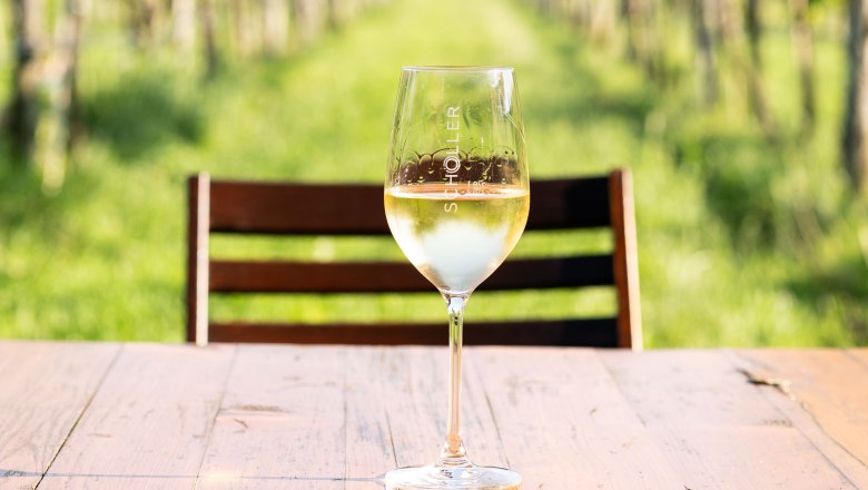 Wine tasting where the wine comes from, © Stefanie Winter Wine glass in the middle of the vineyards