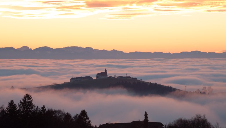 Ausblick von Kollmitzberg, © Thomas Steiner Ausblick von Kollmitzberg, © Thomas Steiner