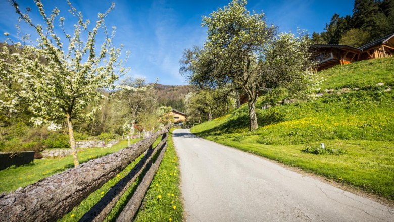 Auffahrt, © www.lensflair.at Auffahrt, © www.lensflair.at