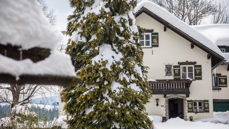 Kobichl im Winter, © fred lindmoser Kobichl im Winter, © fred lindmoser