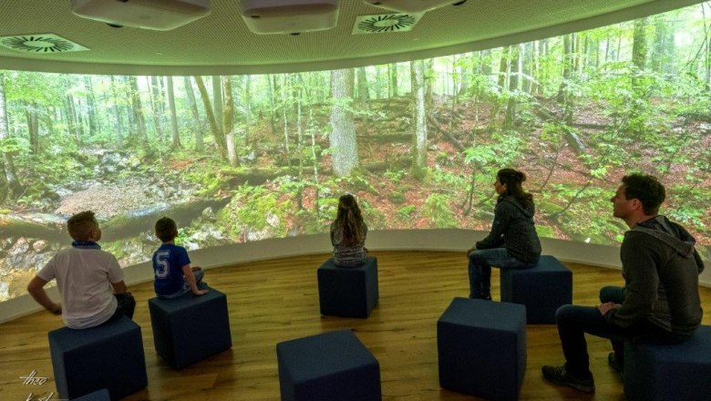 Haus der Wildnis, © Theo Kust Haus der Wildnis, © Theo Kust