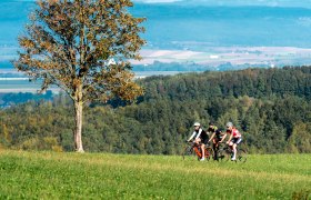 Plambachecker Höhe, © Josef Bollwein Plambachecker Höhe, © Josef Bollwein