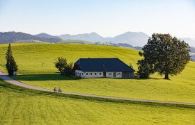 Mostradeln.jpg, © Mostviertel Tourismus, schwarz-koenig.at Mostradeln.jpg, © Mostviertel Tourismus, schwarz-koenig.at