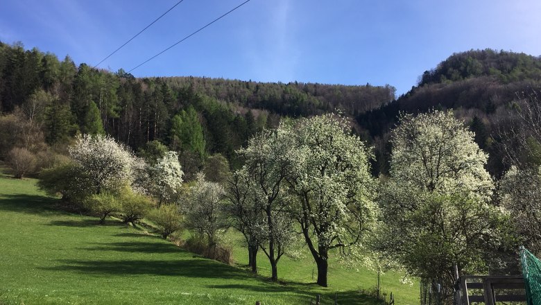 Wanderweg, © Familie Prack Wanderweg, © Familie Prack