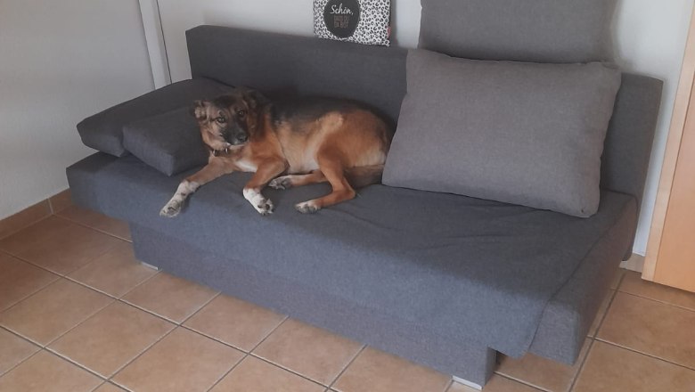 Wohnzimmer, © Haus am Bach Wohnzimmer, © Haus am Bach