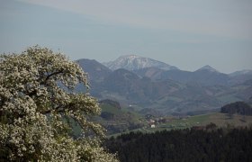 Fotopunkt Ötscher, © schwarz-koenig.at Fotopunkt Ötscher, © schwarz-koenig.at