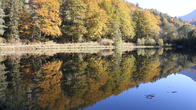 Hinterbergteich, © Gemeinde Hohenberg Ein ruhiger See spiegelt herbstlich gefärbte Bäume wider, die am Ufer stehen.