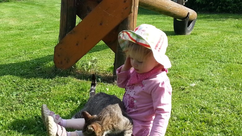 Schmusekatze, © Lothspieler Schmusekatze, © Lothspieler