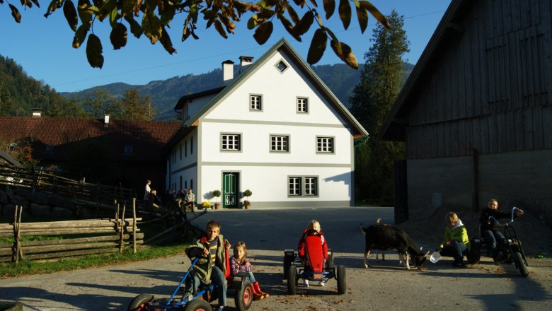 Bauernhof Ziegelau, © zVg Kinder spielen auf einem Bauernhof mit Kettcars und einer Ziege im Vordergrund.