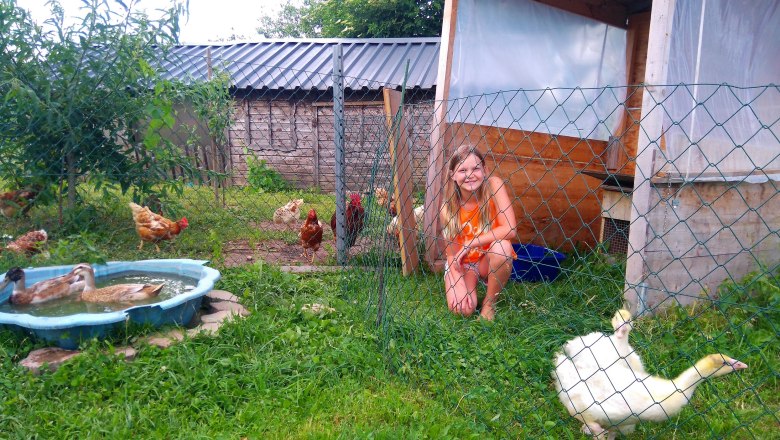 Federvieh, © Lothspieler Federvieh, © Lothspieler