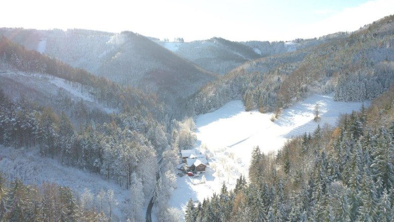 biohof-lueg-im-stillen-winterwald, © zVg Fam. Fallmann biohof-lueg-im-stillen-winterwald, © zVg Fam. Fallmann