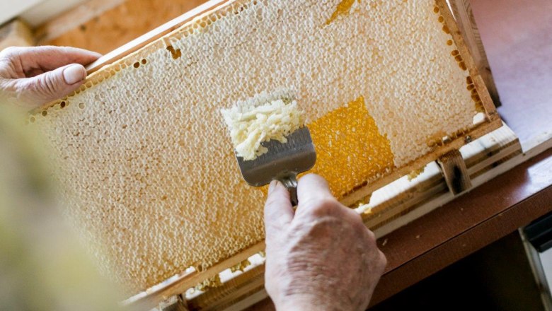 Urlaub am Zwergerlhof, © schwarz-koenig.at Urlaub am Zwergerlhof, © schwarz-koenig.at