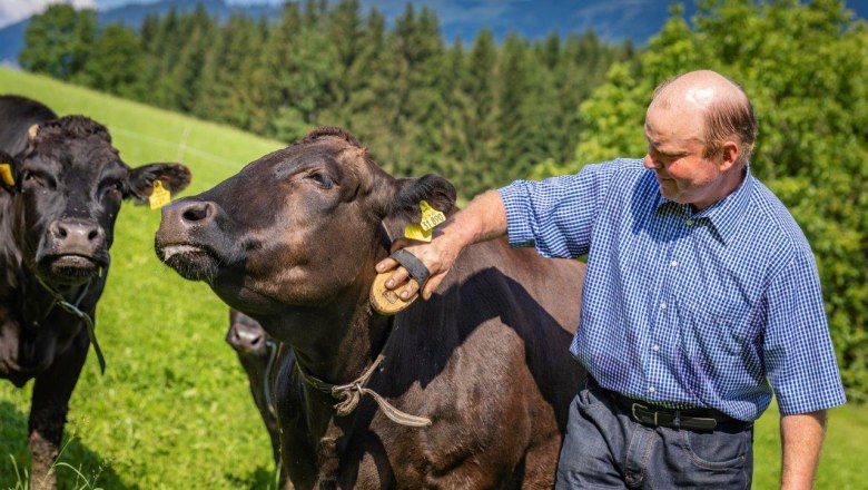 Bio-Wagyuhof Reingrub, © Theo Kust Bio-Wagyuhof Reingrub, © Theo Kust