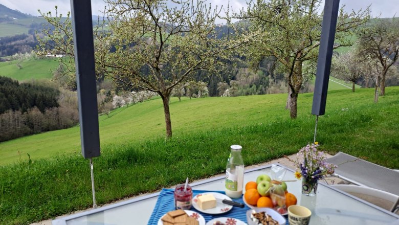 tiny-houses-birner-1, © Sandra Gartlehner tiny-houses-birner-1, © Sandra Gartlehner