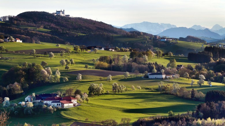 Blick hinauf zur Basilika Sonntagberg, © weinfranz.at Blick auf die Basilika Sonntagberg auf einem Hügel, umgeben von grünen Feldern und Bäumen, mit Bergen im Hintergrund.