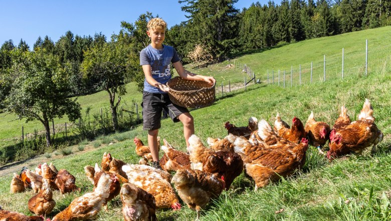 Biohof Krottensee, © Theo Kust Biohof Krottensee, © Theo Kust