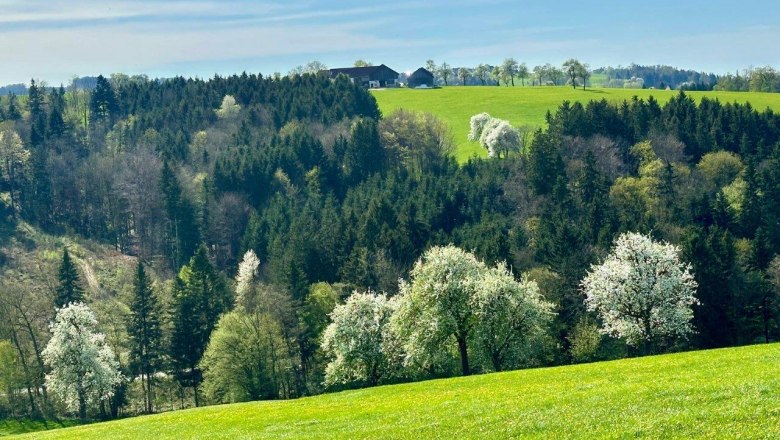 RelaxResort Kothmühle, © RelaxResort Kothmühle RelaxResort Kothmühle, © RelaxResort Kothmühle