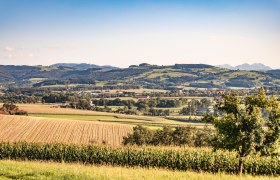 Blick auf St. Peter/Au, © Uschi Wolf Blick auf St. Peter/Au, © Uschi Wolf