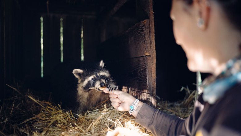 City of Haag Zoo, © Moststraße, dochbodnliacht City of Haag Zoo, © Moststraße, dochbodnliacht