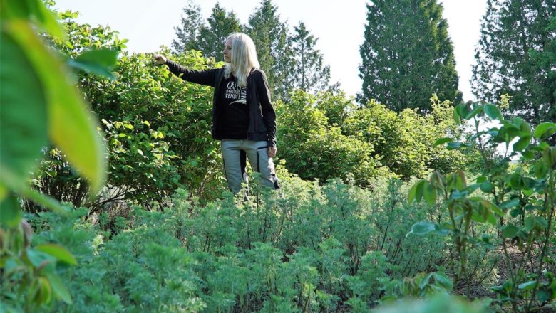 Genuine from the land, © Degnfilm Genuine from the land, © Degnfilm