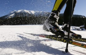 Langlaufen auf der Trainingswiese, © schwarz-koenig.at Langlaufen auf der Trainingswiese, © schwarz-koenig.at