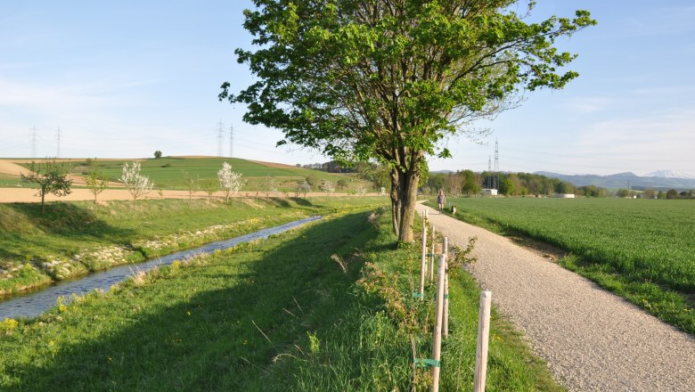 Wildobstlehrpfad, © zVg Gemeinde Ruprechtshofen Ein Weg entlang eines Baches mit Bäumen und Feldern, unter blauem Himmel.