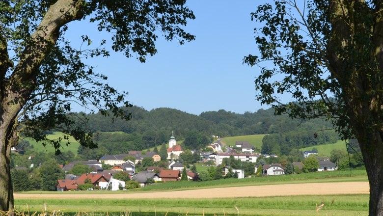 Blick auf St. Martin, © Marktgemeinde St. Martin-Karlsbch Landschaft mit Dorf und Kirche im Hintergrund, umrahmt von Bäumen.