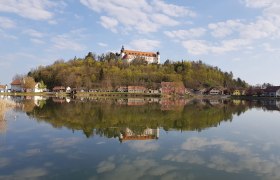 Schlossteich Sitzenberg-Reidling, © Teichwirtschaft Sitzenberg-Reidling Ein Schloss auf einem Hügel spiegelt sich in einem ruhigen See, umgeben von Bäumen und kleinen Häusern.
