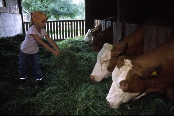 Bei der Stallarbeit mithelfen, © zVg Bei der Stallarbeit mithelfen, © zVg