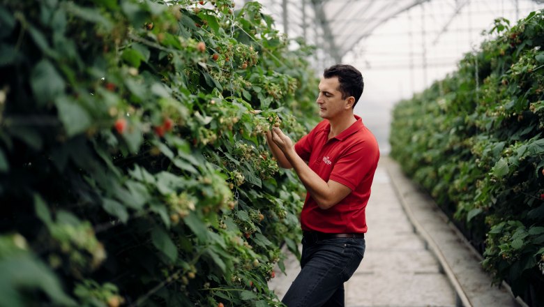 Lehners Beerenstadl, © Moststraße, dochbodnliacht Lehners Beerenstadl, © Moststraße, dochbodnliacht