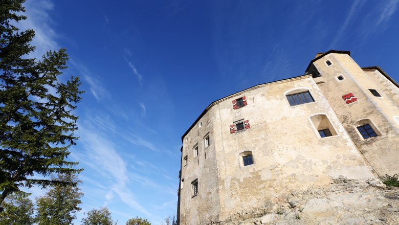 Burg Plankenstein, © Doris Schwarz König Burg Plankenstein vor blauem Himmel mit Bäumen im Vordergrund.