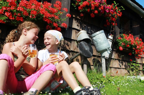 Aktuális csomagajánlatok , © weinfranz.at Aktuális csomagajánlatok , © weinfranz.at