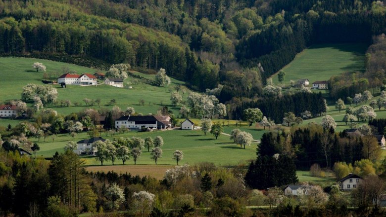 Fotopunkt Kematen, © schwarz-koenig.at Fotopunkt Kematen, © schwarz-koenig.at