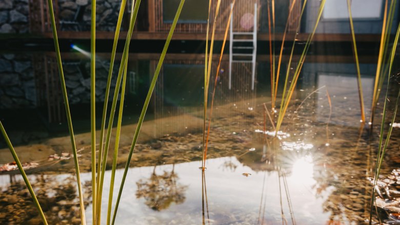 Waldjuwel Mostviertel, © Sabine Wieser Fotografie Waldjuwel Mostviertel, © Sabine Wieser Fotografie