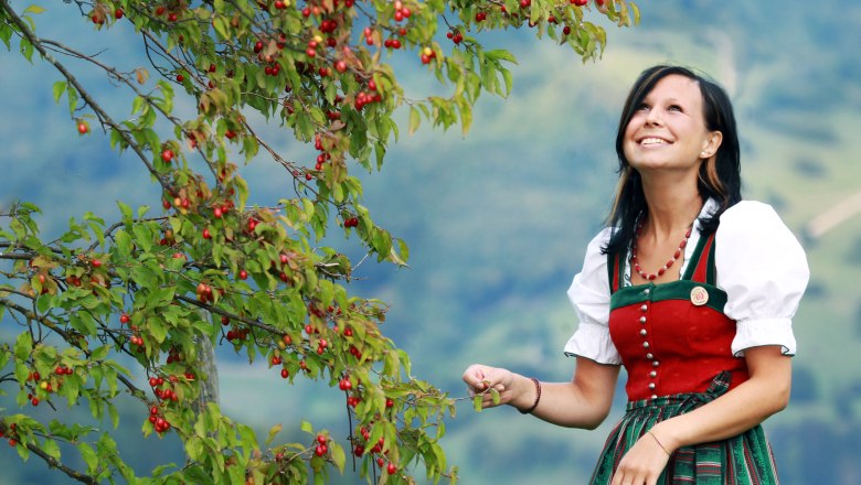 All kinds of Dirndl jewelry is produced from the seeds of the Dirndl fruit, © weinfranz.at All kinds of Dirndl jewelry is produced from the seeds of the Dirndl fruit, © weinfranz.at