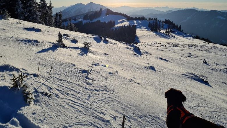 Ski tour to Siebenhütten, © Martin Bachner_Happy Nest Ski tour to Siebenhütten, © Martin Bachner_Happy Nest