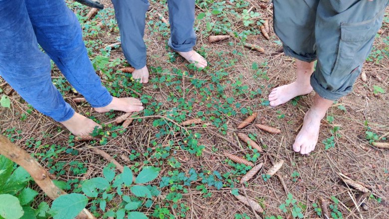 Feel the forest floor barefoot, © Walter Hasslinger Feel the forest floor barefoot, © Walter Hasslinger