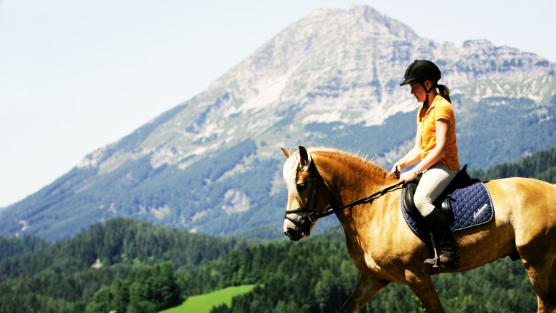 Joachimsberg Equestrian Center, © Mostviertel Tourismus/Weinfranz.at A female rider on a brown horse in front of a mountain backdrop.