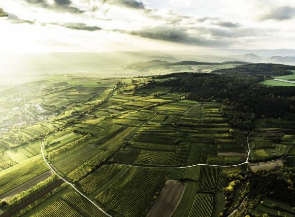 Inzersdorf, © POV Inzersdorf, © POV