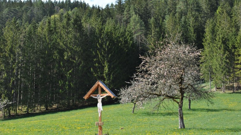 Landschaft hinter dem Haus, © Patrick Leitner Landschaft hinter dem Haus, © Patrick Leitner