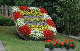 Blumenwappen, © Marktgemeinde Ferschnitz Ein Blumenbeet in Form eines Wappens mit bunten Blumen.