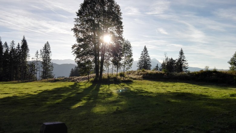 sonnenaufgang-bergwiese, © Zwickelreih sonnenaufgang-bergwiese, © Zwickelreih