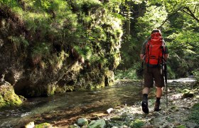 Falkenschlucht Türnitz, © weinfranz.at Wanderer mit rotem Rucksack in einer grünen Schlucht neben einem Bach.