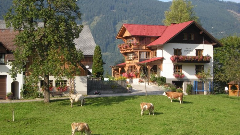 Salcheck, © Fam. Jagersberger Bauernhof mit Kühen auf einer Wiese vor einem traditionellen Haus in den Alpen.