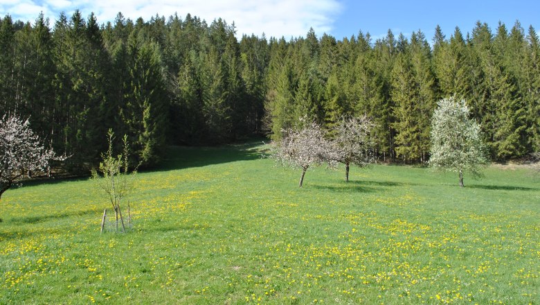 Landschaft hinter dem Haus, © Patrick Leitner Landschaft hinter dem Haus, © Patrick Leitner