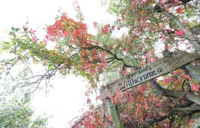 Herzlich Willkommen in Kirnberg, © schwarz-koenig.at Herzlich Willkommen in Kirnberg, © schwarz-koenig.at