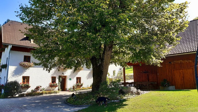 Oberrehau, © Andrea Kronsteiner Oberrehau, © Andrea Kronsteiner