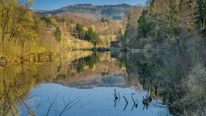 Natural swimming pool Kematen, © zVg Gemeinde Kematen A calm lake with forest and hills in the background, reflected in the water.