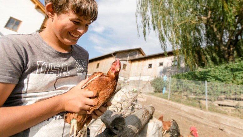 Urlaub am Zwergerlhof, © schwarz-koenig.at Urlaub am Zwergerlhof, © schwarz-koenig.at